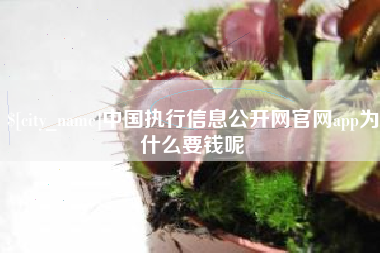 临猗中国执行信息公开网官网app为什么要钱呢