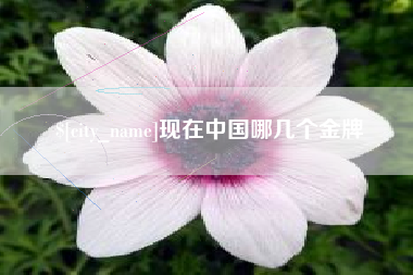 临猗现在中国哪几个金牌