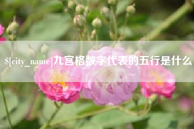 临猗九宫格数字代表的五行是什么