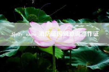 临猗消防证国网查询操作证