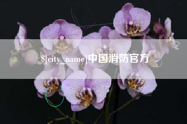 临猗中国消防官方