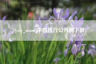临猗中国执行公开网下载
