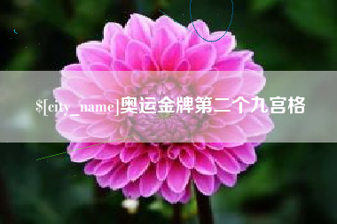 临猗奥运金牌第二个九宫格