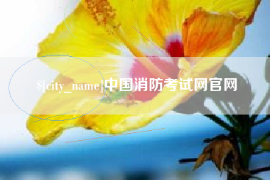 临猗中国消防考试网官网
