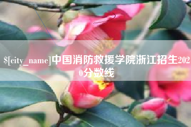 临猗中国消防救援学院浙江招生2020分数线