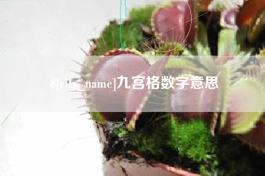 临猗九宫格数字意思