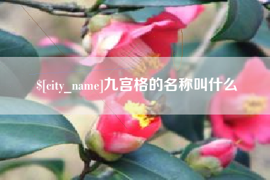 临猗九宫格的名称叫什么