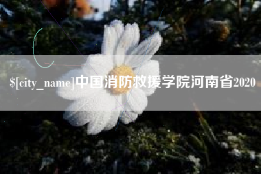 临猗中国消防救援学院河南省2020